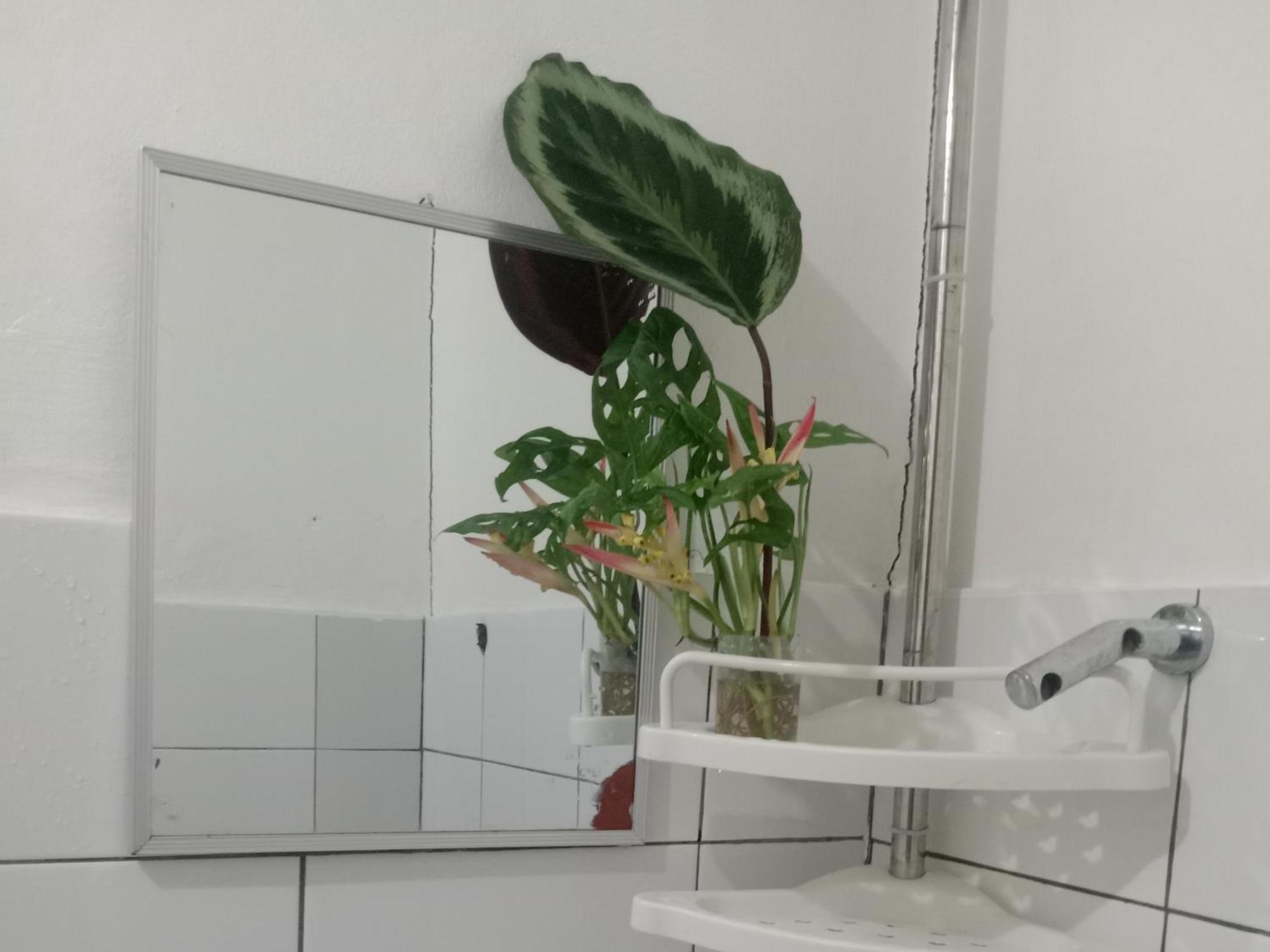 Vincent Lloyd'S Guestroom 圣维森特 客房 照片